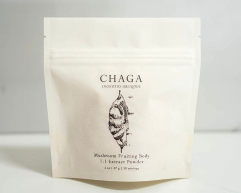 PlantaeAndFungi Chaga