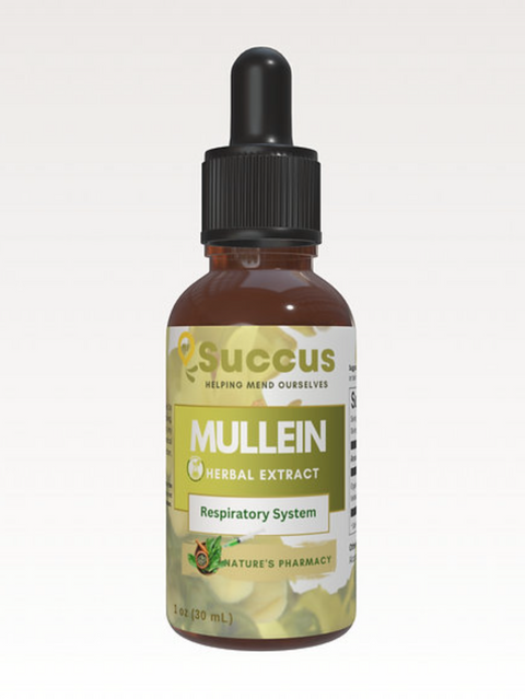 Succus Mullein Herbal Tincture